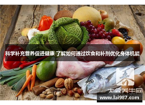 科学补充营养促进健康 了解如何通过饮食和补剂优化身体机能
