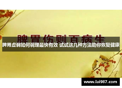 脾胃虚弱如何调理最快有效 试试这几种方法助你恢复健康 脾胃虚弱如何调理最快有效 试试这几种方法助你恢复健康
